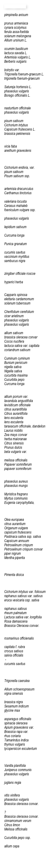 Name botanisch

pimpinella anisum prunus armeniacacynara scolymusferula assa-foetidasolanum melongenaAllium ursinum L.ocumim basilicumlactuca savatia L.Artemisia vulgaris L.Berberis vulgarisbotrytis var.Trigonella foenum-graecum L.trigonella foenum-graecumSatureja hortensis L.phaseolus vulgarisBorago officinalis L.nasturtium officinalephaseolus vulgarispisum sativumCichorium intybusCapsicum frutescens L.brassica pekinensisvicia fabaanethum graveolensCichorium endivia, var.pisum sativumPisum sativum ssp.artemisia dracunculusCarthamus tinctoriusvaleriana locustaCerasus mahalebfoeniculum vulgare ssp.phaseolus vulgarislepidium sativumCurcuma longaPunica granatumcucumis savitusvaccinium myrtillussambucus nigrazingiber officiale roscoehyperici herbaCapparis spinosaelettaria cardamomumsolanum tuberosumCherifolium cerefoliumcicer arietinumphaseolus vulgarisphaseolus vulgarisallium sativumbrassica oleracea convarCocos nuciferalactuca sativa var. capitatacoriandrum sativumCuminum cyminumBunium persicumnigella sativaNigella sativacucurbita maximaCucurbita pepoCurcuma longaallium porrum var.lavandula angustifolialevisiticum officinalecitrus aurantifoliaCitrus aurantifolialens esculentalens esculentataraxacum officinale, dandelionLaurus nobilisZea mays convarherba maioranaeCitrus sinensisPrunus dulcisbeta vulgaris var.melissa officinalisPapaver somniferumpapaver somniferumphaseolus aureusphaseolus mungoMyristica fragransMyrtus communisEugenia caryophyllata, 
Olea europaeacitrus aurantiumOriganum vulgarecapsicum frutescensPastinaca sativa ssp. sativaCapsicum annuumPetroselinum crispumPetroselinum crispum convarpiper nigrumMentha piperitaPimenta dioica Cichorium intybus var. foliosumraphanus sativus var. sativuseruca vesicaria ssp. sativaraphanus sativusrheum palmatumLactuca sativa var. longifoliaRosa damascenaBrassica Oleracea convar.rosmarinus officienaliscapitata f. rubracrocus sativussalvia officialis -cucumis savitusTrigonella caeruleaAllium schoenoprasumvigna sinensisbrassica nigraSesamum indicumglycine maxasparagus officinalisspinacia oleraceaApium graveolens var.Brassica rapa var.rhus coriariaTamarindus indicathymus vulgarislycopersicon esculentumVanilla planifoliaJuniperus communisphaseolus vulgarisjuglans regiavitis viniferaphaseolus vulgarisBrassica oleracea convar. ?Brassica oleracea convar. 
cinnamomum verumCitrus limonMelissa officinalisCucurbita pepo ssp.allium cepa
